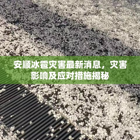 2025年6月7日 第3頁(yè)