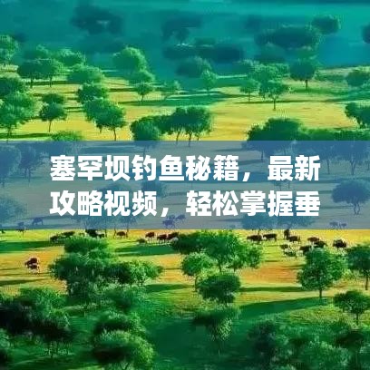 塞罕壩釣魚秘籍，最新攻略視頻，輕松掌握垂釣技巧，盡享自然垂釣樂趣！