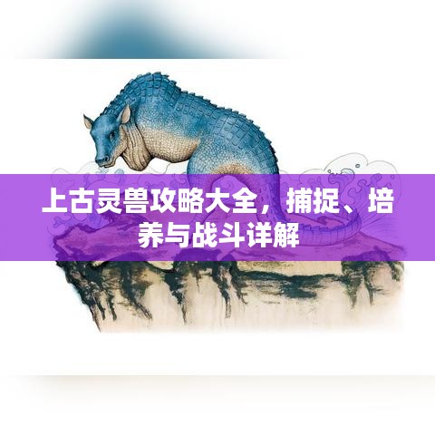 上古靈獸攻略大全，捕捉、培養(yǎng)與戰(zhàn)斗詳解