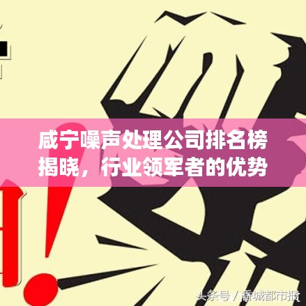 咸寧噪聲處理公司排名榜揭曉，行業(yè)領(lǐng)軍者的優(yōu)勢(shì)與特色深度解讀