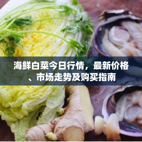 海鮮白菜今日行情，最新價(jià)格、市場(chǎng)走勢(shì)及購(gòu)買指南