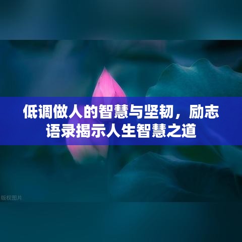 低調(diào)做人的智慧與堅韌，勵志語錄揭示人生智慧之道
