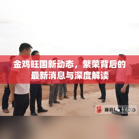 金雞旺國新動(dòng)態(tài)，繁榮背后的最新消息與深度解讀