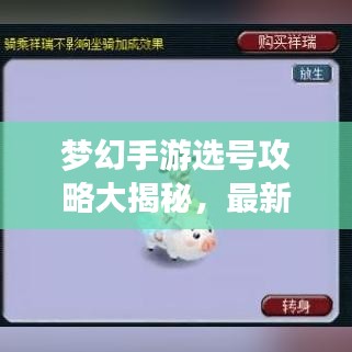 夢幻手游選號攻略大揭秘，最新指南，助你打造夢幻人生！