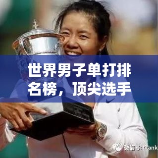 世界男子單打排名榜，頂尖選手的榮耀之路與奮斗軌跡