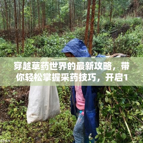 穿越草藥世界的最新攻略，帶你輕松掌握采藥技巧，開啟1到300的冒險(xiǎn)征途！