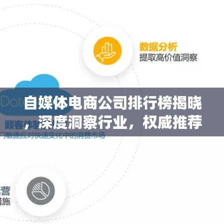 自媒體電商公司排行榜揭曉，深度洞察行業(yè)，權(quán)威推薦引領(lǐng)市場(chǎng)潮流