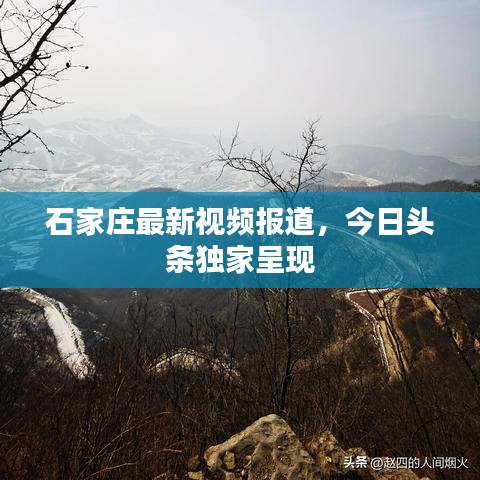 石家莊最新視頻報(bào)道，今日頭條獨(dú)家呈現(xiàn)