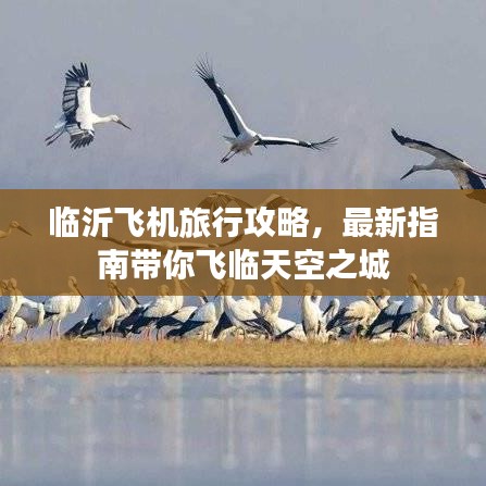 臨沂飛機旅行攻略，最新指南帶你飛臨天空之城