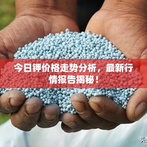 今日鉀價格走勢分析，最新行情報告揭秘！