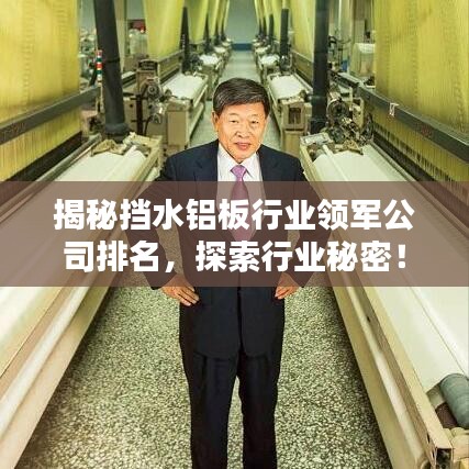 揭秘?fù)跛X板行業(yè)領(lǐng)軍公司排名，探索行業(yè)秘密！