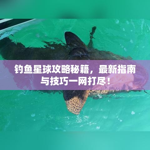 釣魚星球攻略秘籍，最新指南與技巧一網(wǎng)打盡！