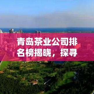 青島茶業(yè)公司排名榜揭曉，探尋茶韻之島的頂尖品質(zhì)先鋒