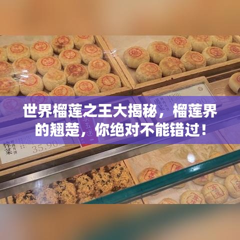 世界榴蓮之王大揭秘，榴蓮界的翹楚，你絕對不能錯過！