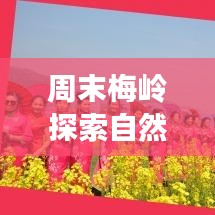 周末梅嶺探索自然美景，盡享休閑時光攻略