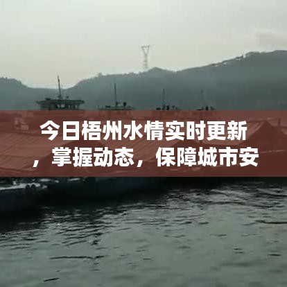 今日梧州水情實(shí)時(shí)更新，掌握動(dòng)態(tài)，保障城市安全