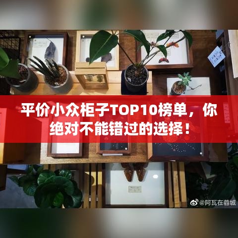 平價(jià)小眾柜子TOP10榜單，你絕對(duì)不能錯(cuò)過的選擇！