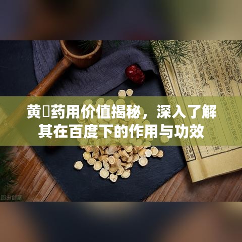 黃茋藥用價值揭秘，深入了解其在百度下的作用與功效