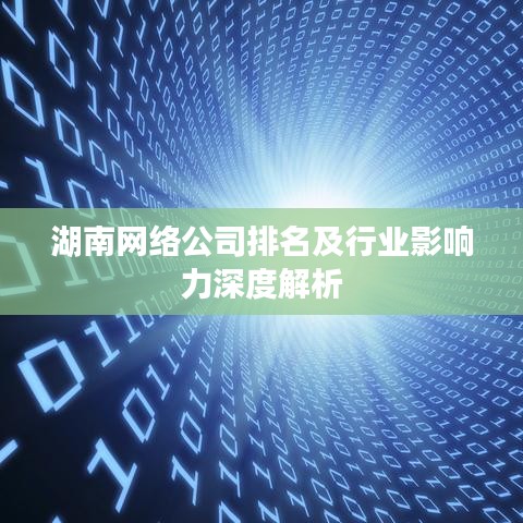 湖南網(wǎng)絡(luò)公司排名及行業(yè)影響力深度解析