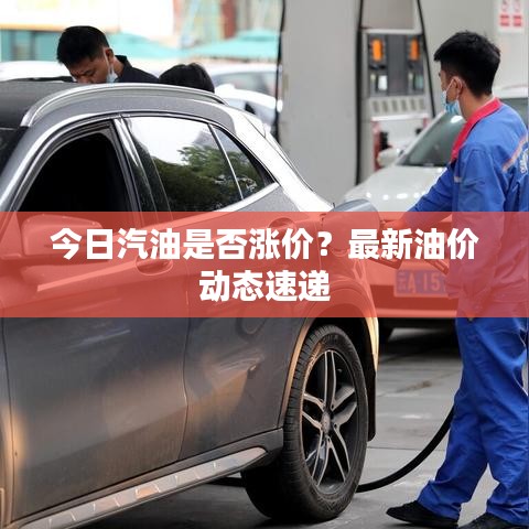今日汽油是否漲價？最新油價動態(tài)速遞