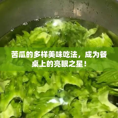 苦瓜的多樣美味吃法，成為餐桌上的亮眼之星！