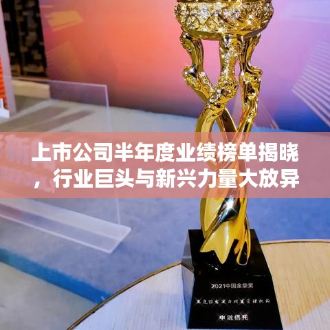 上市公司半年度業(yè)績榜單揭曉，行業(yè)巨頭與新興力量大放異彩
