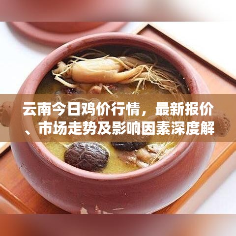 云南今日雞價(jià)行情，最新報(bào)價(jià)、市場走勢及影響因素深度解析