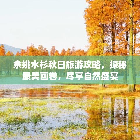 余姚水杉秋日旅游攻略，探秘最美畫(huà)卷，盡享自然盛宴