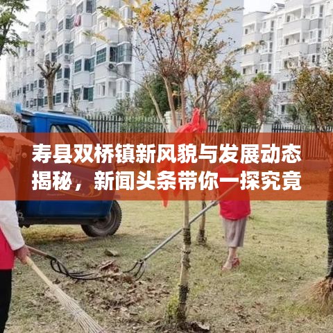 壽縣雙橋鎮(zhèn)新風(fēng)貌與發(fā)展動(dòng)態(tài)揭秘，新聞?lì)^條帶你一探究竟