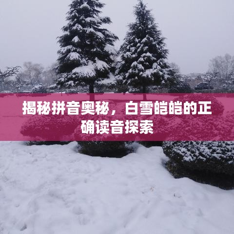 揭秘拼音奧秘，白雪皚皚的正確讀音探索