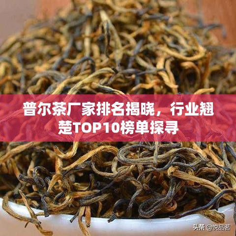 普爾茶廠家排名揭曉，行業(yè)翹楚TOP10榜單探尋