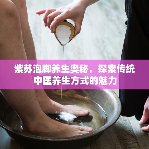 紫蘇泡腳養(yǎng)生奧秘，探索傳統(tǒng)中醫(yī)養(yǎng)生方式的魅力