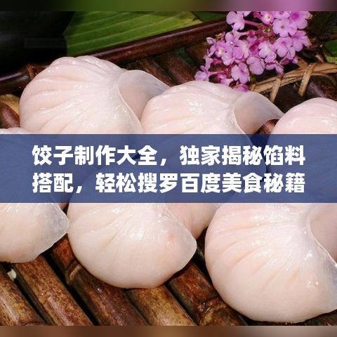 餃子制作大全，獨家揭秘餡料搭配，輕松搜羅百度美食秘籍！