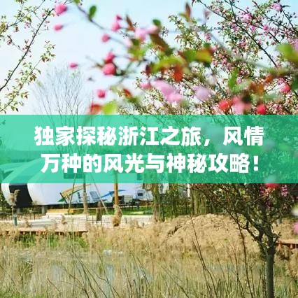 獨家探秘浙江之旅，風情萬種的風光與神秘攻略！