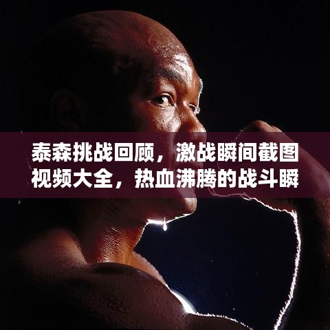 泰森挑戰(zhàn)回顧，激戰(zhàn)瞬間截圖視頻大全，熱血沸騰的戰(zhàn)斗瞬間！