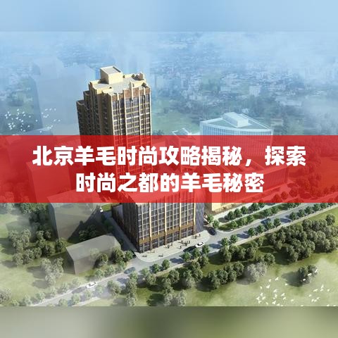 北京羊毛時(shí)尚攻略揭秘，探索時(shí)尚之都的羊毛秘密