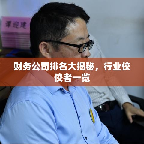 財(cái)務(wù)公司排名大揭秘，行業(yè)佼佼者一覽