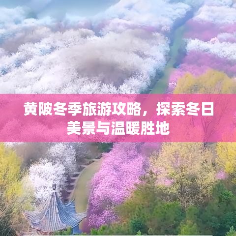 黃陂冬季旅游攻略，探索冬日美景與溫暖勝地
