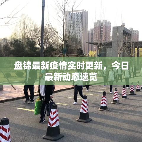 盤錦最新疫情實時更新，今日最新動態(tài)速覽