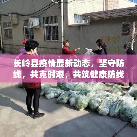 長嶺縣疫情最新動態(tài)，堅守防線，共克時艱，共筑健康防線