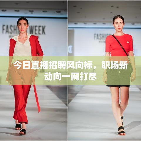 今日直播招聘風(fēng)向標(biāo)，職場新動向一網(wǎng)打盡