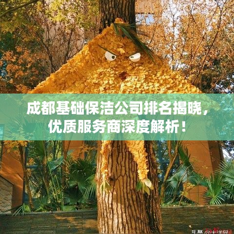 成都基礎(chǔ)保潔公司排名揭曉，優(yōu)質(zhì)服務(wù)商深度解析！