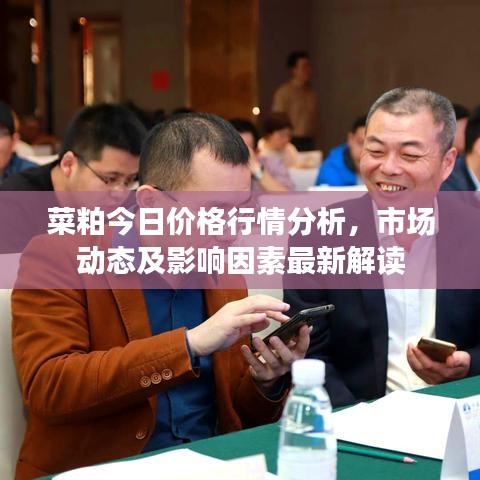 菜粕今日價(jià)格行情分析，市場(chǎng)動(dòng)態(tài)及影響因素最新解讀