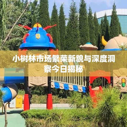 小樹林市場繁榮新貌與深度洞察今日揭秘