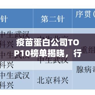 疫苗蛋白公司TOP10榜單揭曉，行業(yè)領軍者的實力揭秘！