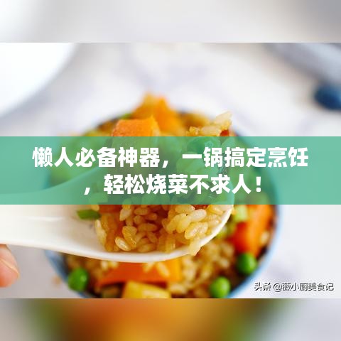 懶人必備神器，一鍋搞定烹飪，輕松燒菜不求人！