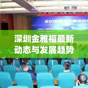 深圳金雅福最新動(dòng)態(tài)與發(fā)展趨勢(shì)揭秘，獨(dú)家視頻消息速遞