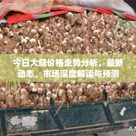 今日大蒜價(jià)格走勢(shì)分析，最新動(dòng)態(tài)、市場(chǎng)深度解讀與預(yù)測(cè)