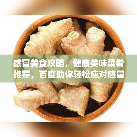 感冒美食攻略，健康美味菜肴推薦，百度助你輕松應(yīng)對(duì)感冒飲食選擇