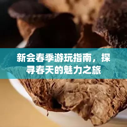 新會(huì)春季游玩指南，探尋春天的魅力之旅